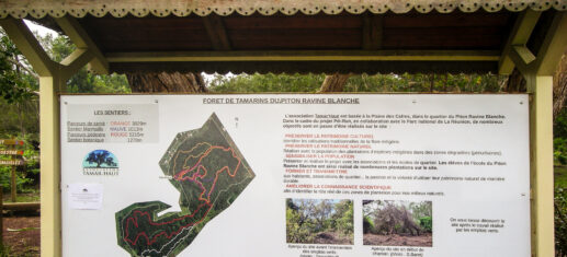 Balades à Ravine Blanche