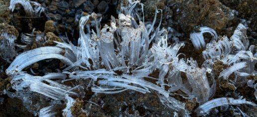 Fleurs de glace au volcan